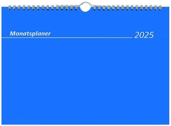 Actual product image Monthly diary 2025 white,29,7x21cm, desk calendar with 1 month on 1 page (No binding, German)