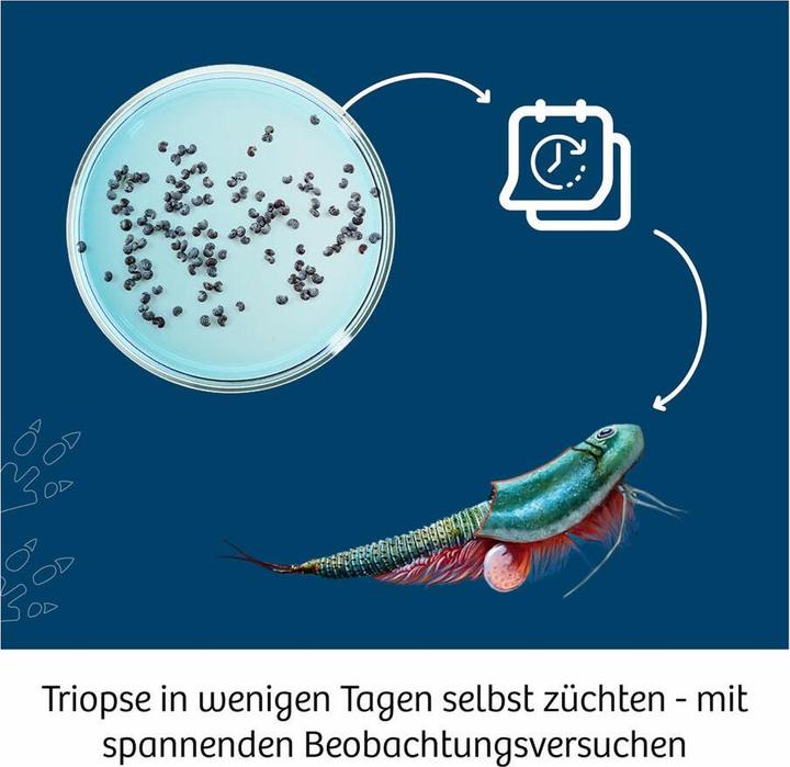 Image du produit Kosmos Triops World INT