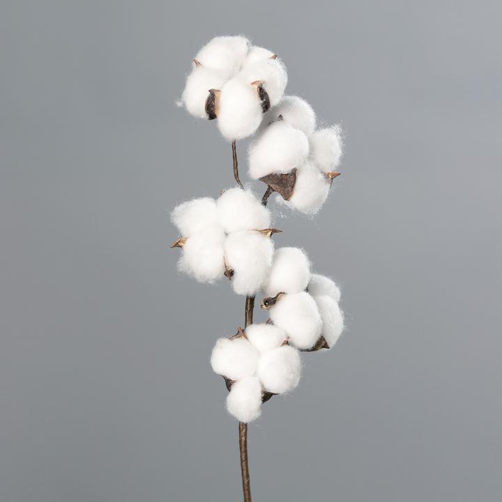 Actual product image DPI Cotton branch, L 49 cm