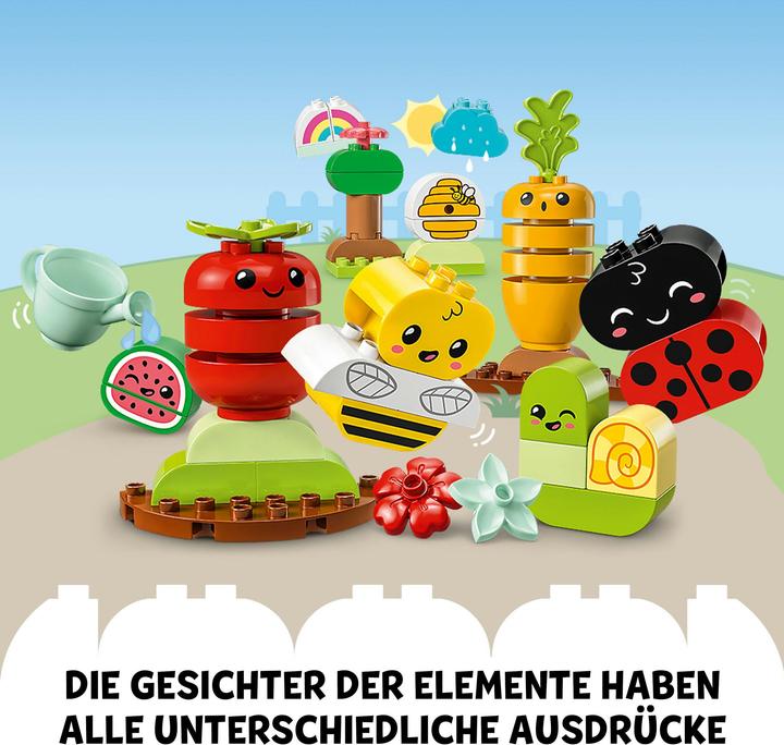 Image du produit LEGO Jardin biologique (10984)