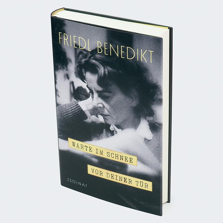 Produktbild Warte im Schnee vor Deiner Tür (Deutsch, Friedl Benedikt, Ernst Strouhal, Fanny Esterházy, 2025)