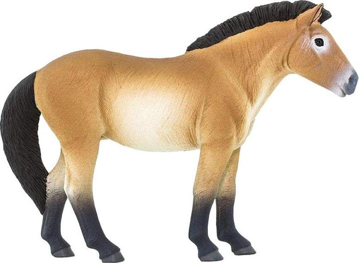 Actual product image Safari Przewalski horse