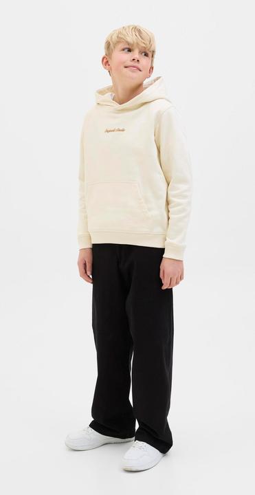 Actual product image Jack & Jones Jpstowen Fctry Fabric2 L2 Chino Pant Jnr (170)