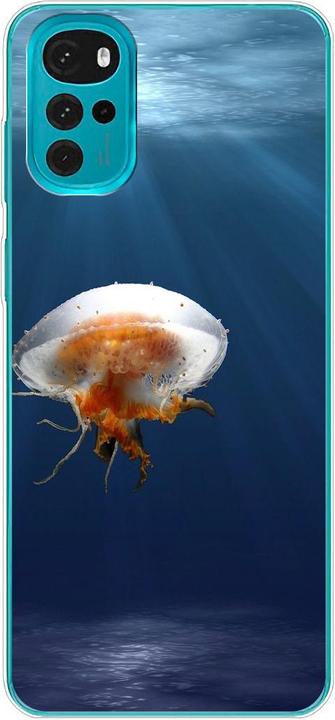 Jellyfish