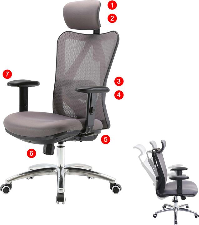 Image du produit Sihoo Chaise de bureau avec soutien lombaire