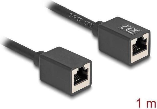 Actual product image Delock Network extension cable coupling RJ45 socket to R (S/FTP, CAT6a, 1 m)