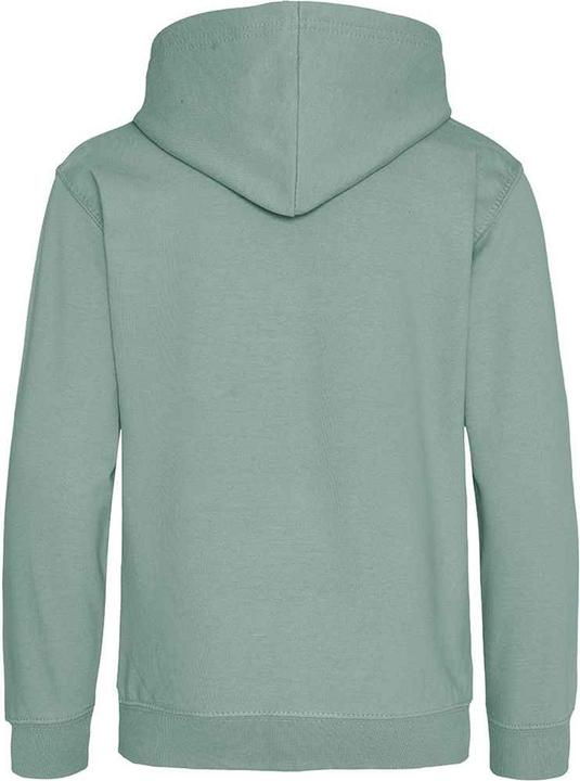 Image du produit Awdis Sweat à capuche (92)