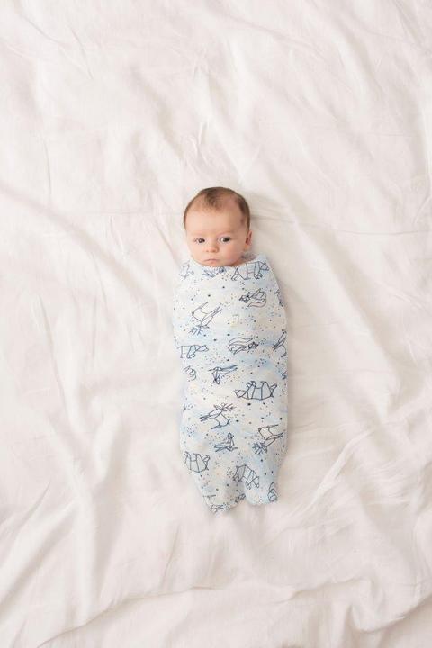 Actual product image aden + anais Silky Soft (120 cm, 120 cm)
