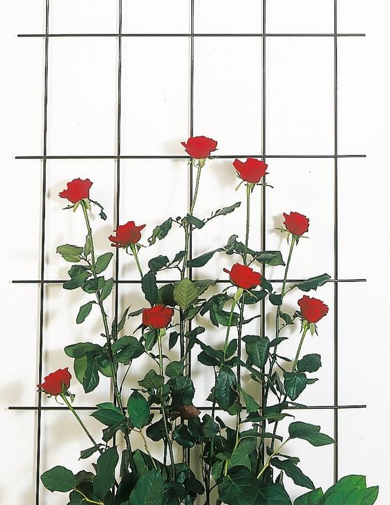 Image du produit Windhager Treillis métallique (150 cm, 45 cm)