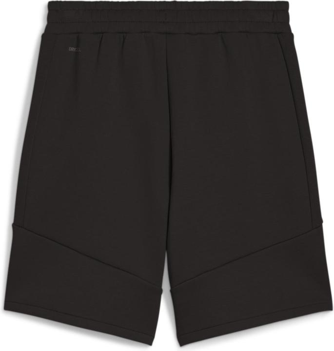 Actual product image Puma EVOSTRIPE Shorts 8" DK (L)