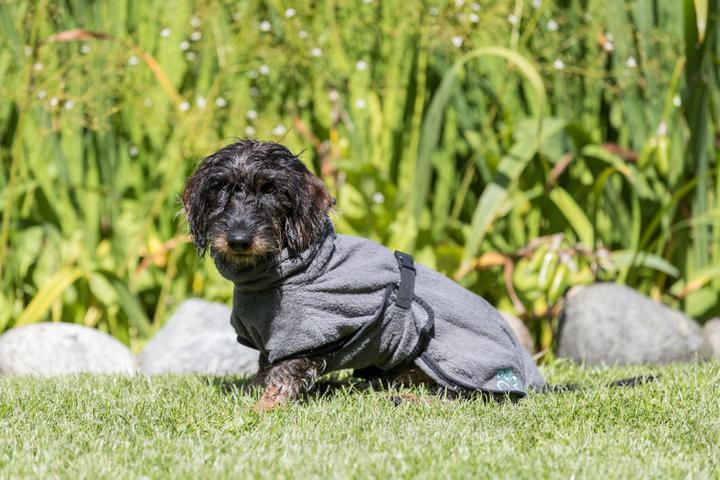 Produktbild Trixie Bademantel Frotee (L, Hundebademantel)