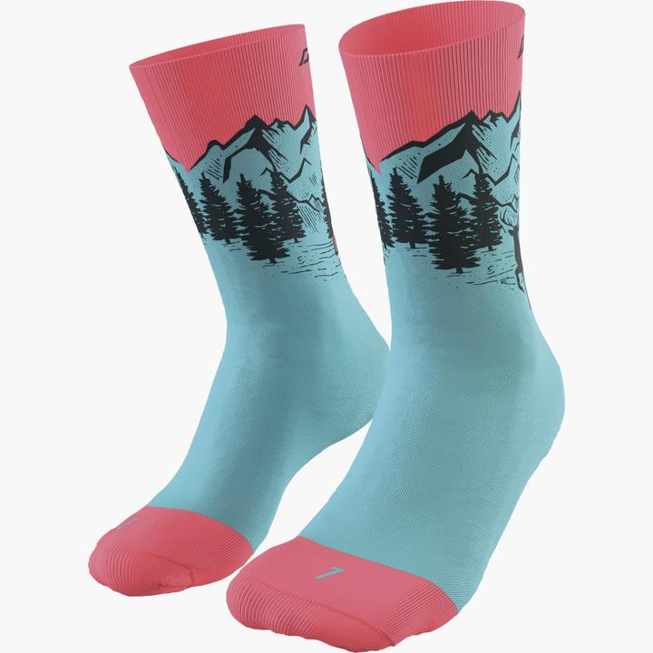Dynafit Stay Fast Socks