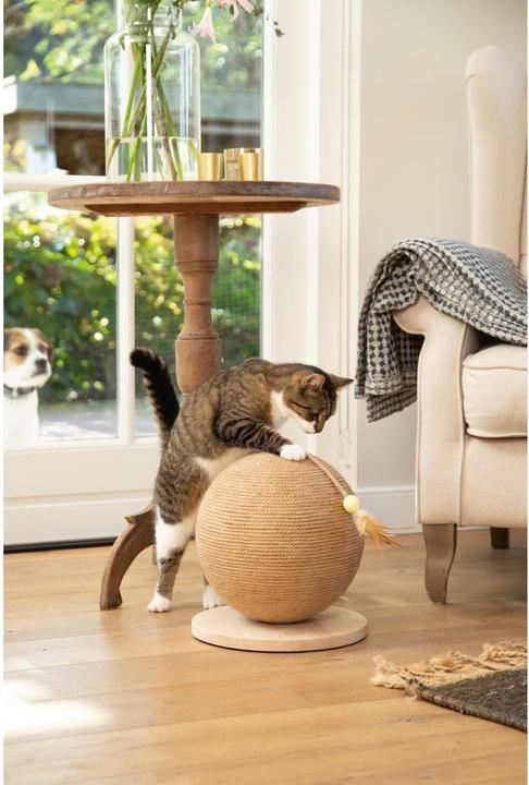 Actual product image Designed by Lotte Balty (27 cm, Brown)