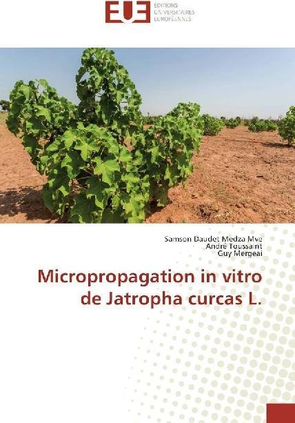 Produktbild Micropropagation in vitro de Jatropha curcas L. (Samson Daudet Medza Mve, André Toussaint, Guy Mergeai, 2016)