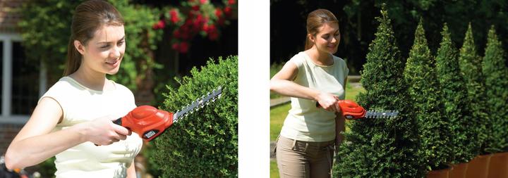 Image du produit Black & Decker Gsl300 (Taille-haies sans fil)