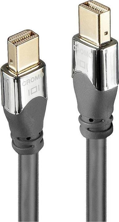 Produktbild Lindy Mini DisplayPort — Mini DisplayPort (2 m, DisplayPort)