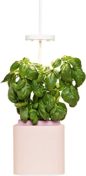 Nano vaso per erbe aromatiche (13.50 cm)
