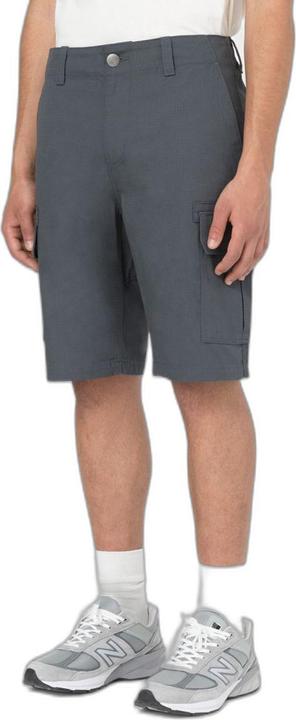 Actual product image Dickies Millerville Short (30)