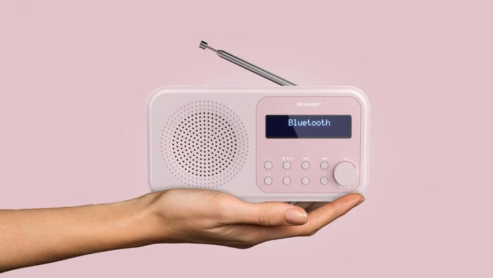 Immagine prodotto Sharp DR-P420 (DAB, FM, Bluetooth)