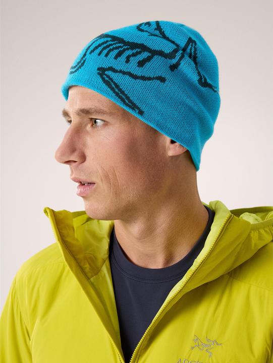 Produktbild Arc'teryx Bird Head Toque (One Size)