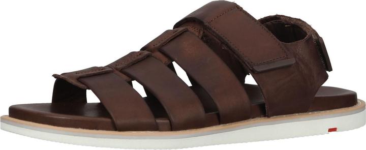 Actual product image Lloyd Elimar (40)