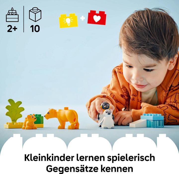 Produktbild LEGO Wildtier-Familien: Pinguine und Löwen (10442)