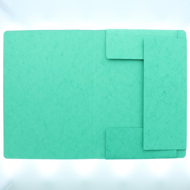 Actual product image Pagna Rubber band folder (A4, 1 x)