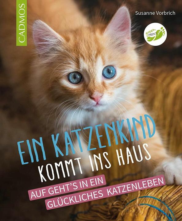 Produktbild Vorbrich:Ein Katzenkind kommt ins Haus (Deutsch, Susanne Vorbrich, 2024)
