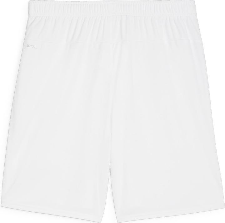 Actual product image Puma teamGOAL shorts (L)