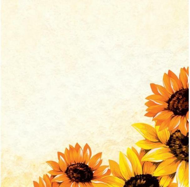 Produktbild Sigel Motiv-Papier (90 g/m², 50 x, A4)