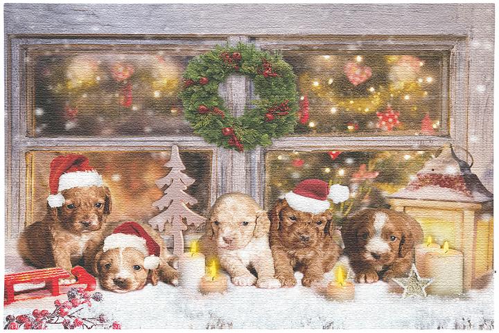 Produktbild Infactory LED-Wandbild, Weihnachts-Hundewelpen-Motiv (60 x 40 cm)