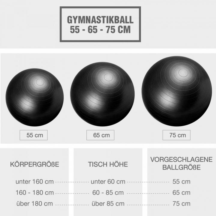 Produktbild Gorilla Sports Gymnastikball (65 cm)