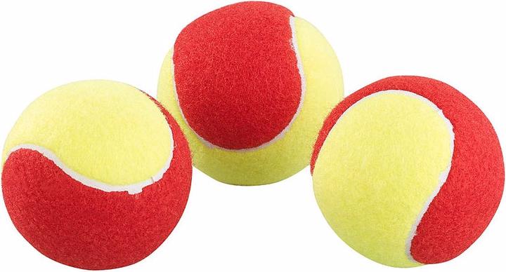 Actual product image Speeron Set of 24 tennis balls incl. stretcher net