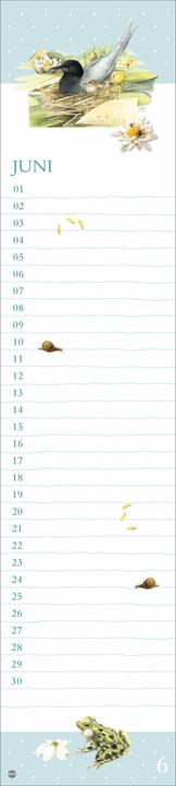 Produktbild Marjolein Bastin: Geburtstagskalender Langplaner (11 x 49 cm, Harter Einband, Deutsch)