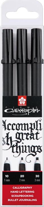 Actual product image Sakura Pigma Calligrapher (Black, 3 x)