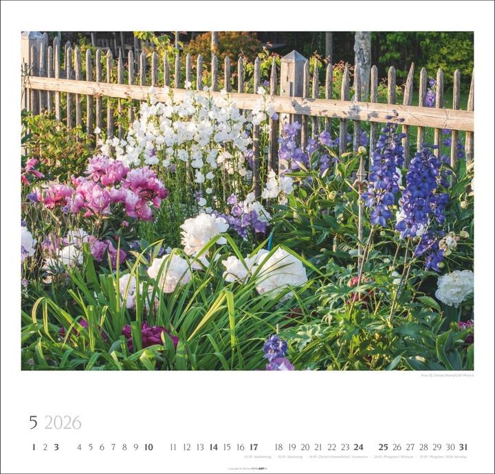 Produktbild Bauerngärten Kalender 2026 (48 x 46 cm, Englisch, Deutsch)
