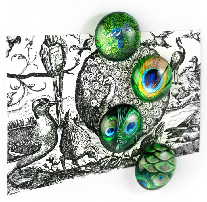 Produktbild Trendform Eye (4 x)