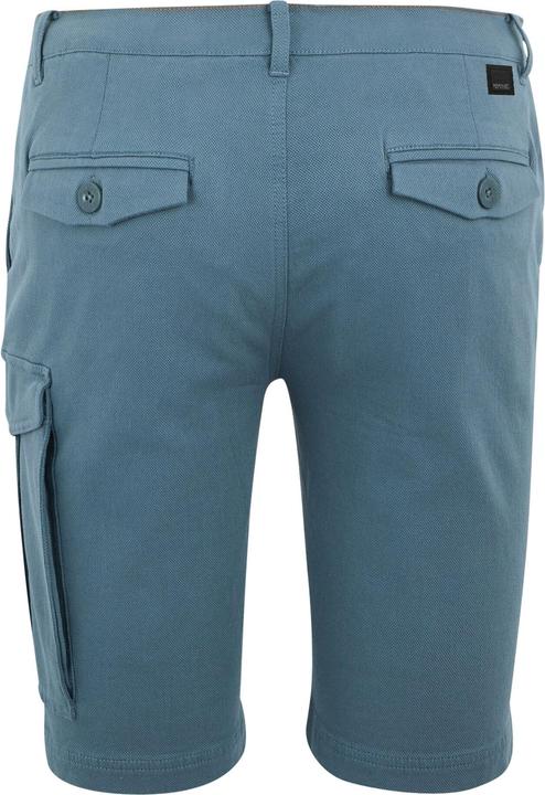 Actual product image Regatta Mens Bendrick Shorts (40)
