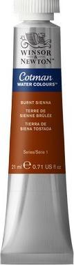 Actual product image Winsor & Newton Cotman watercolour 21ml Burnt Sienna 074 (Burnt Sienna 074, 21 ml)