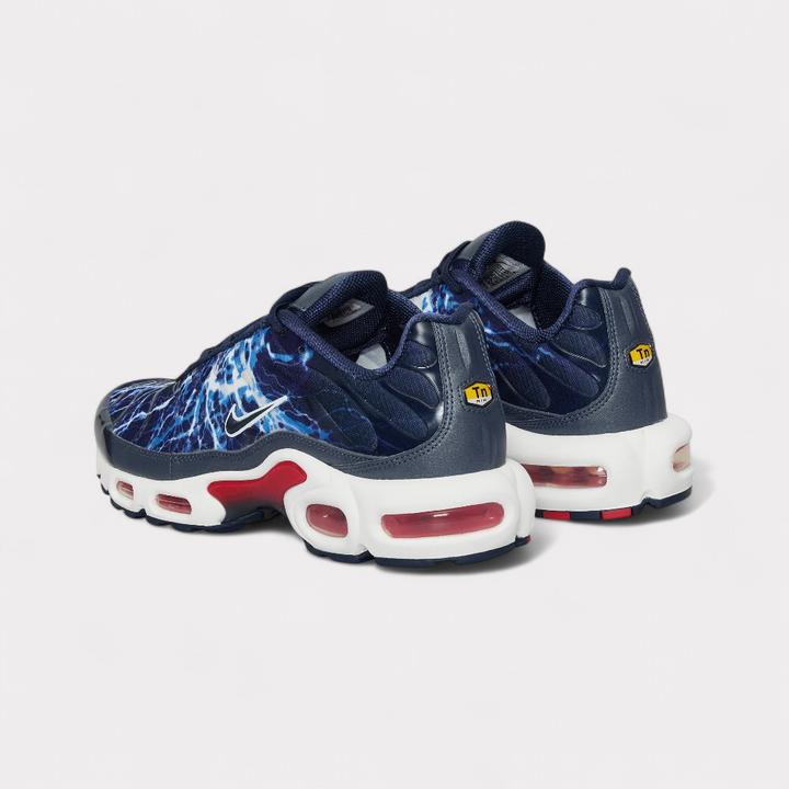 Actual product image Nike Air Max Plus (42)