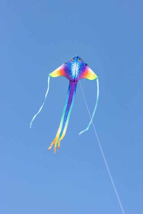 Actual product image Invento Cerf-volant Simple Flyer Manta I