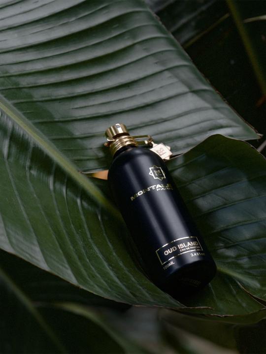 Actual product image Montale Unisex Eau de Parfum Oud Island Vapo 100 ml (Eau de parfum, 100 ml)