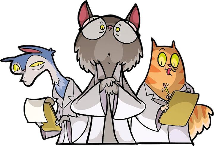 Produktbild Gigamic Les chats de Schrodinger (f) (Französisch)