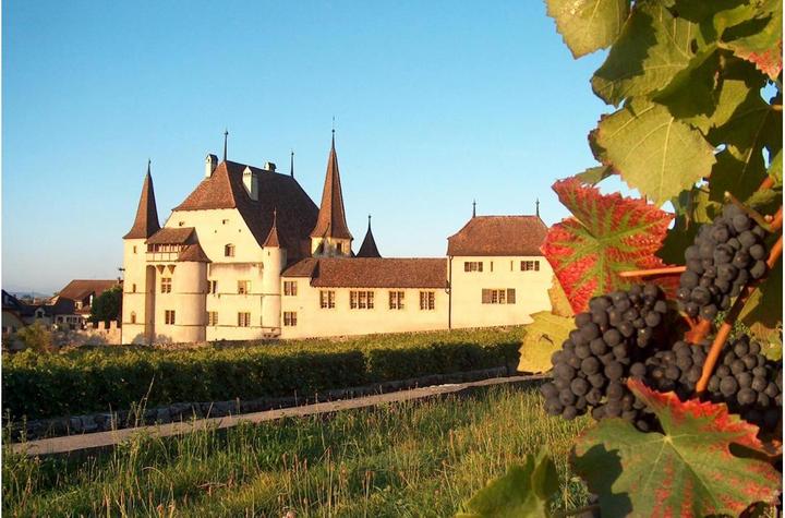 Degustazione di vini per due