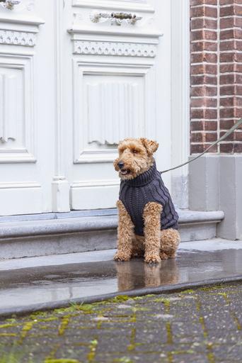 Produktbild Designed by Lotte Hundepullover Haida (32, Hundepullover)