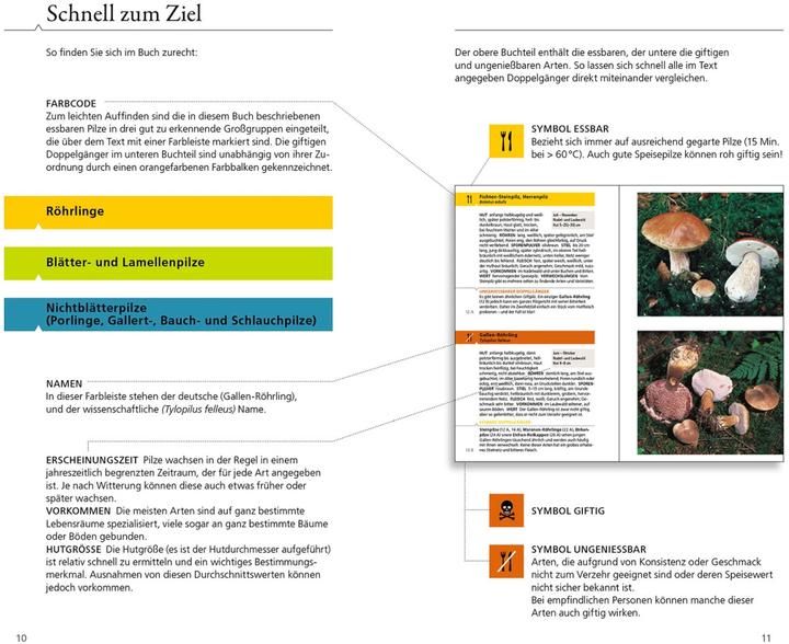 Produktbild Kosmos Essbare Pilze und ihre giftigen Doppelgänger (Deutsch, Andreas Gminder, Hans E. Laux, 2022)