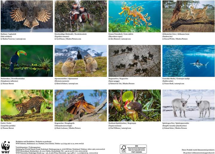 Produktbild Simplex Kalender WWF 2024 (48.5 x 34 cm)