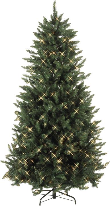 Actual product image Star Trading Calgary (210 cm)