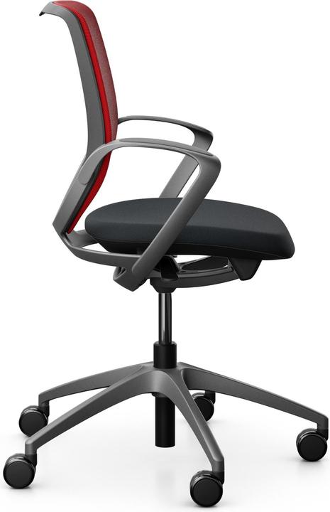 Actual product image Giroflex Netzrücken mit Armlehnen 313