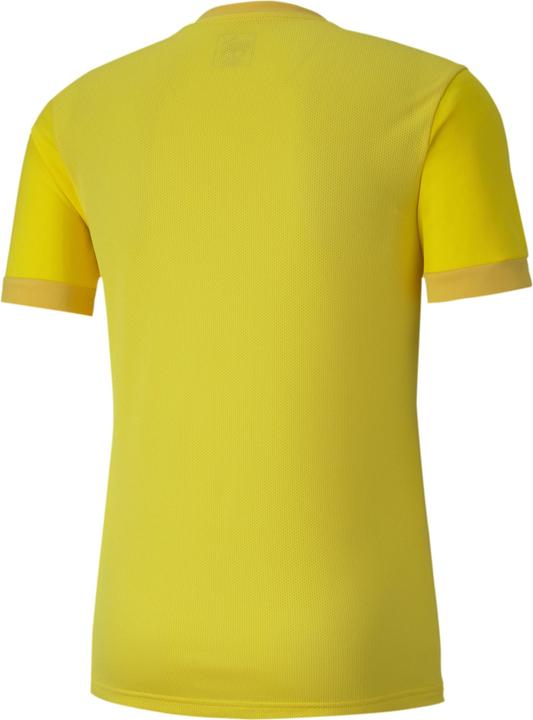 Actual product image Puma teamGOAL 23 Jersey-704171 (L)